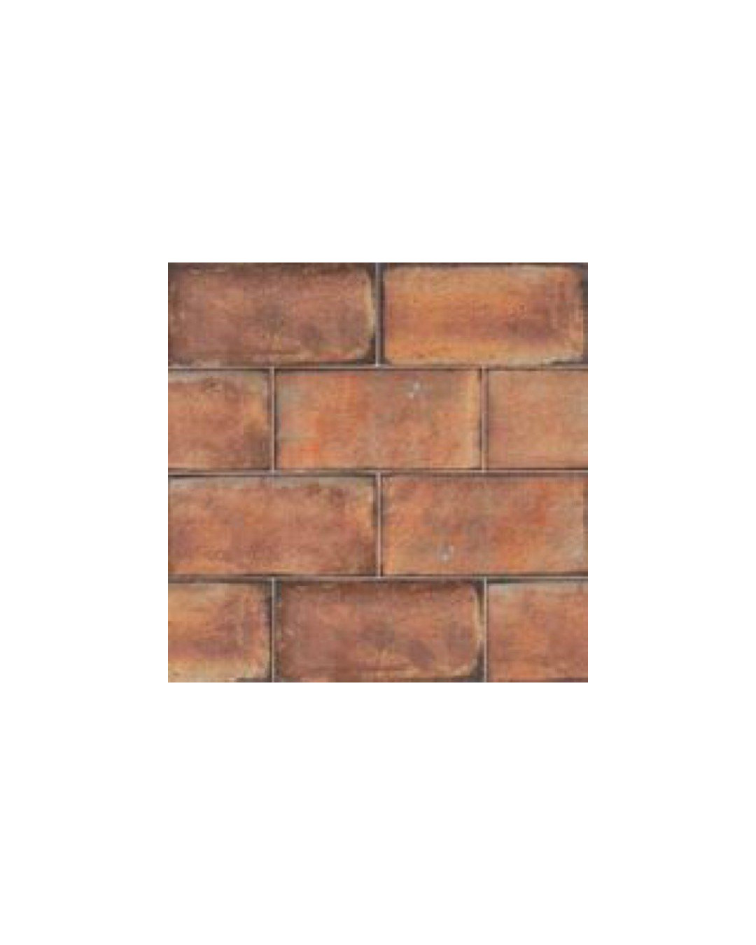 Série Bolonia 20x20