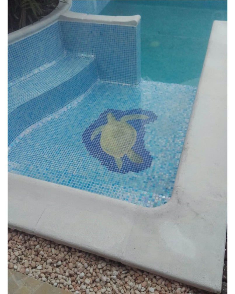 Série Long EXT 50 antislip 20x120