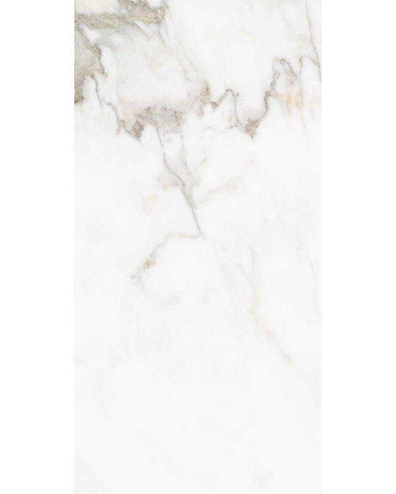 Série Bolonia 20x20