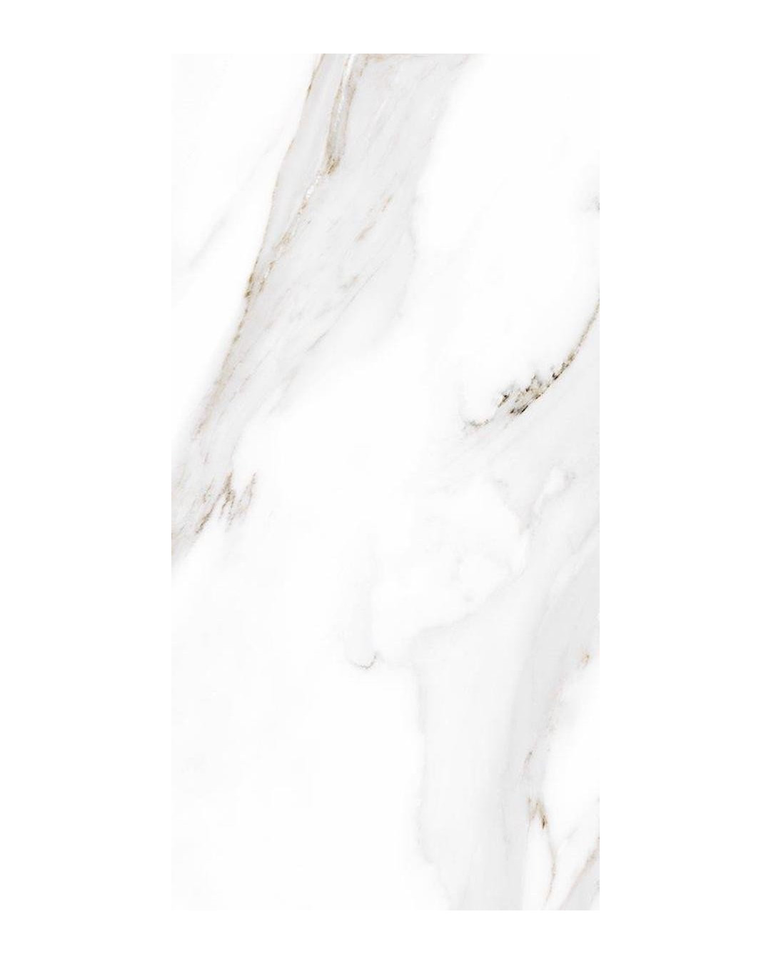 Série Bolonia 20x20