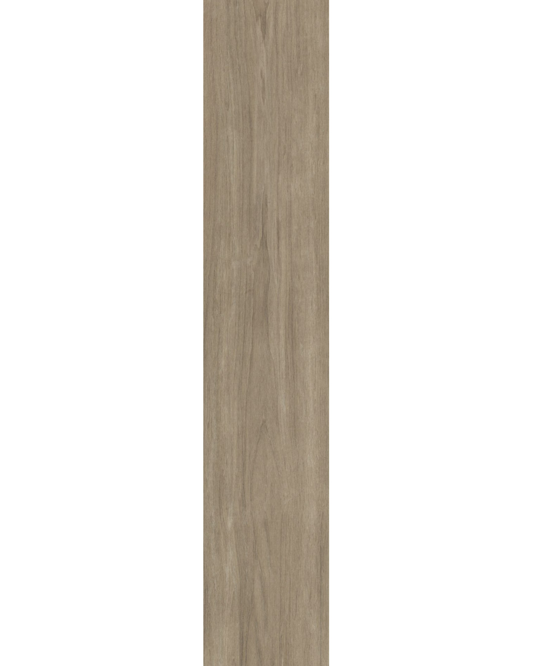 Échantillon gratuit Bosco Otono 22,5x119,5