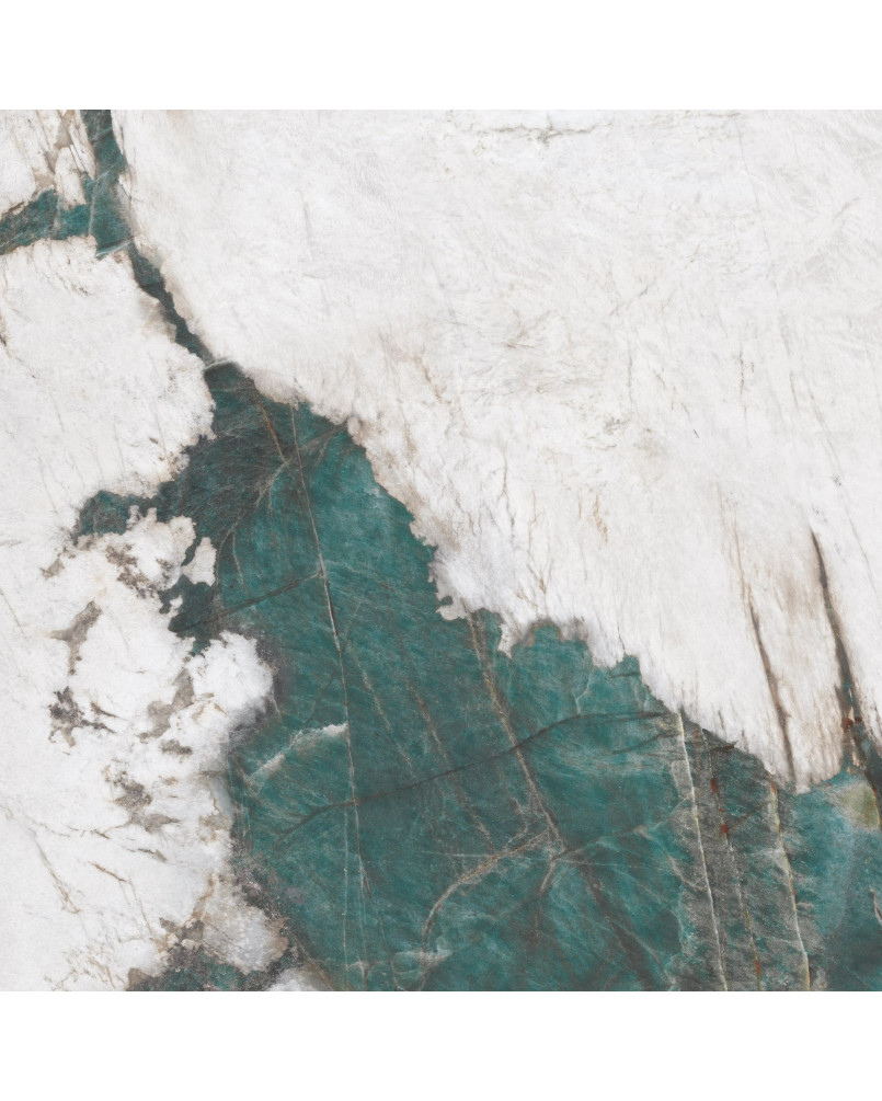 Échantillon gratuit Série Botanic 90x90 poli bords rectifiés