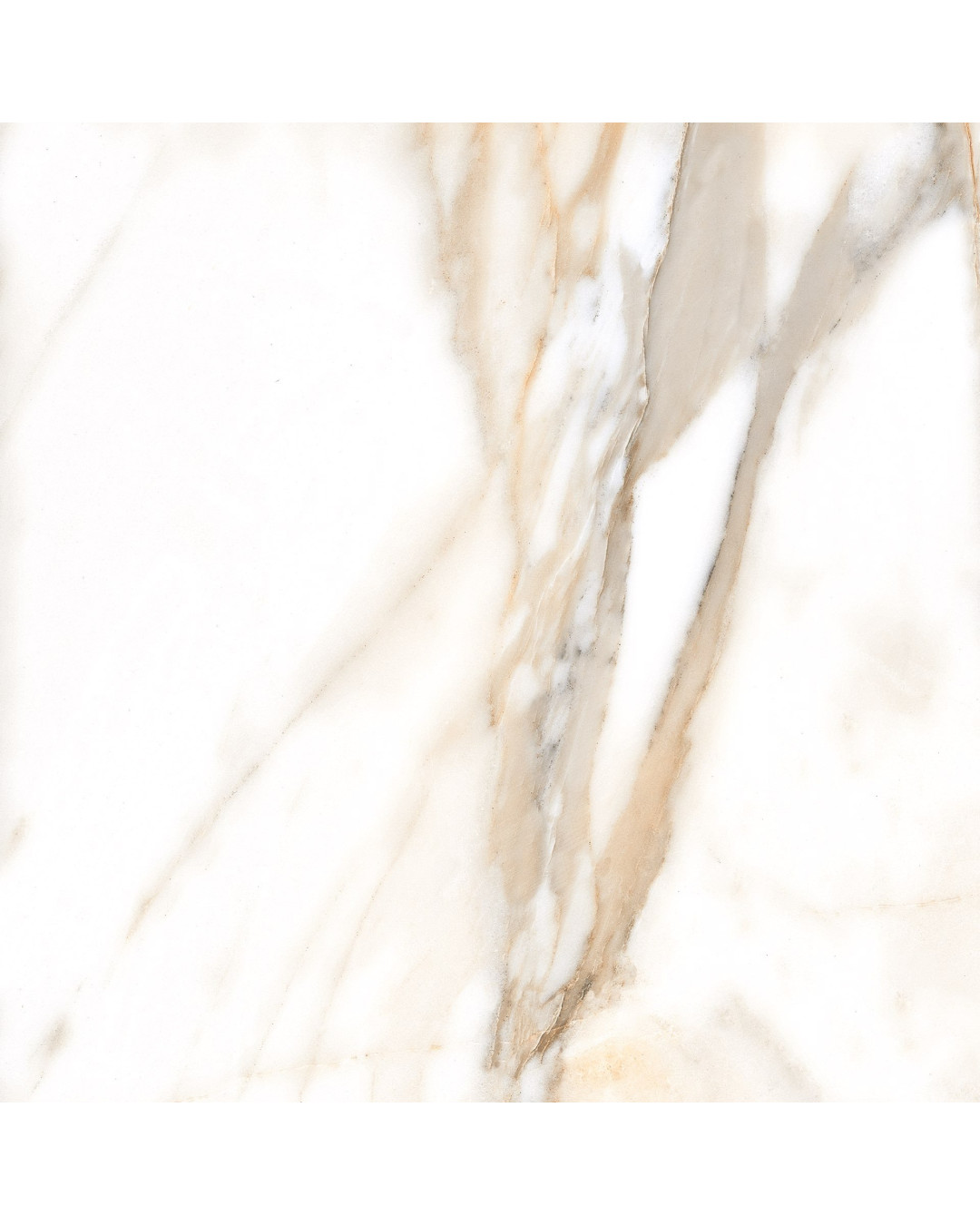 Échantillon gratuit Série Calacatta golden mat 90x90 bords rectifiés
