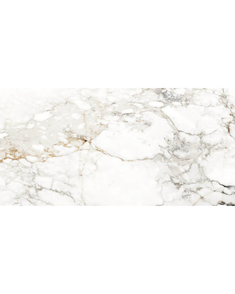 Barnaby Poli bords rectifiés 60x120 (carton de 1,44 m²)