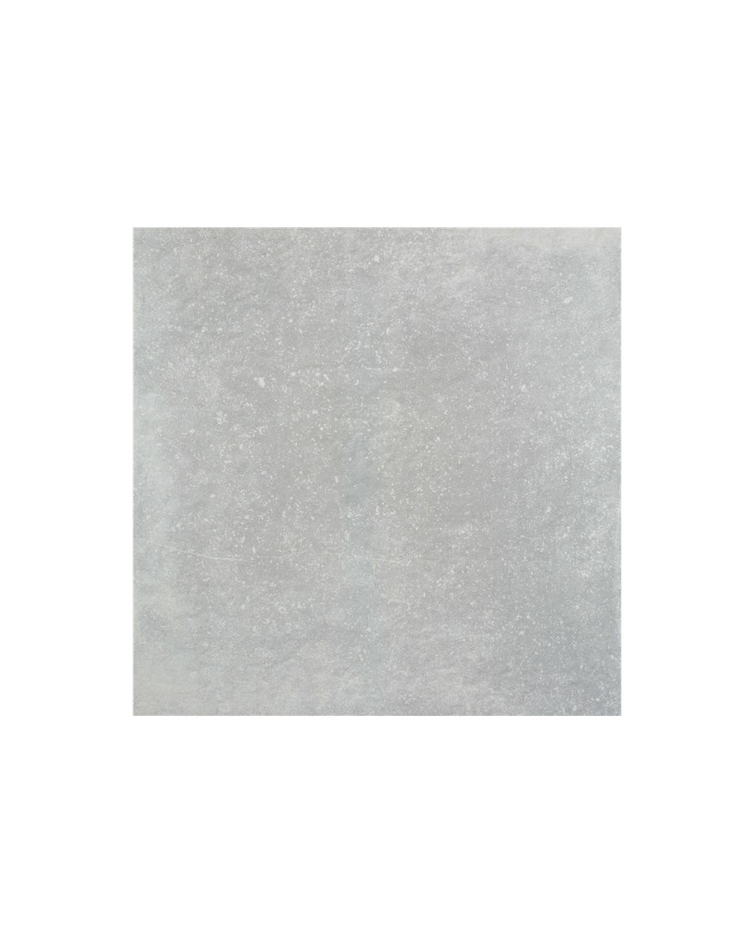 Stonearts Grigio 20 mm 60x60 (carton de 0,72 m²)