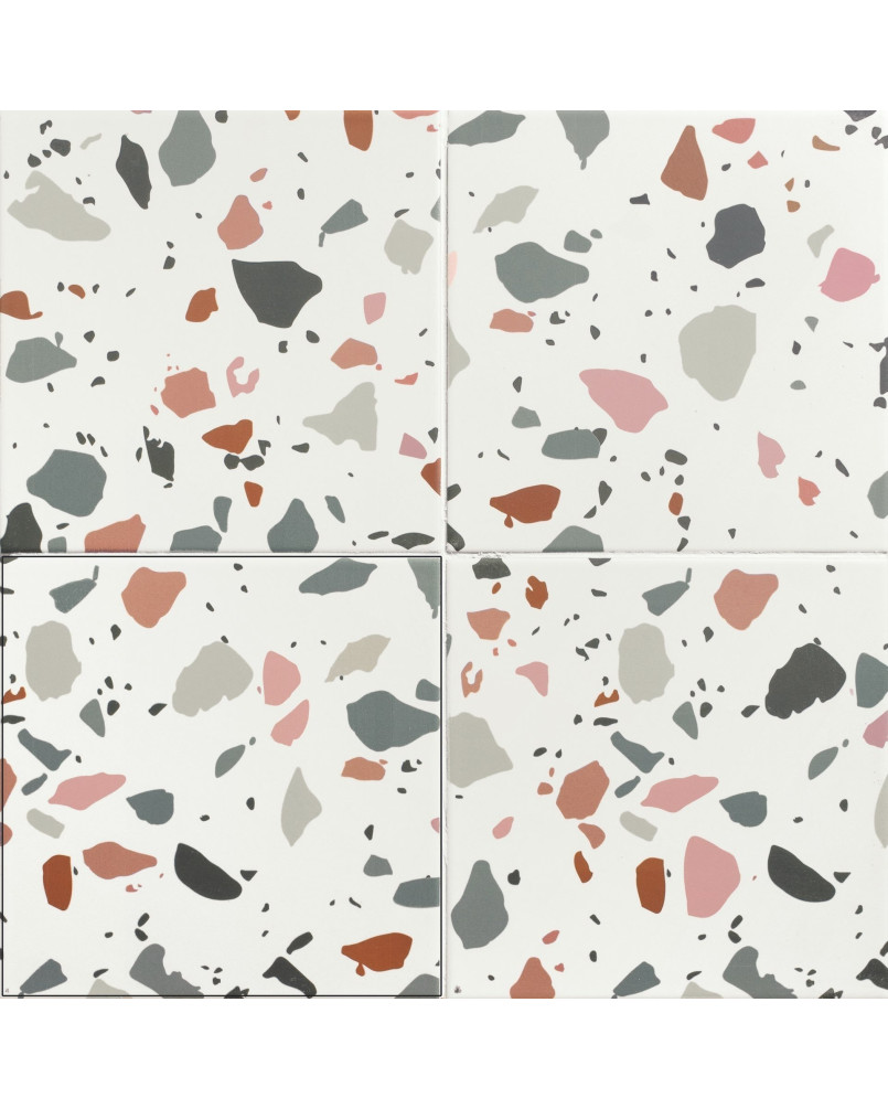 Trendy Mix 20x20 (carton de 1 m²)