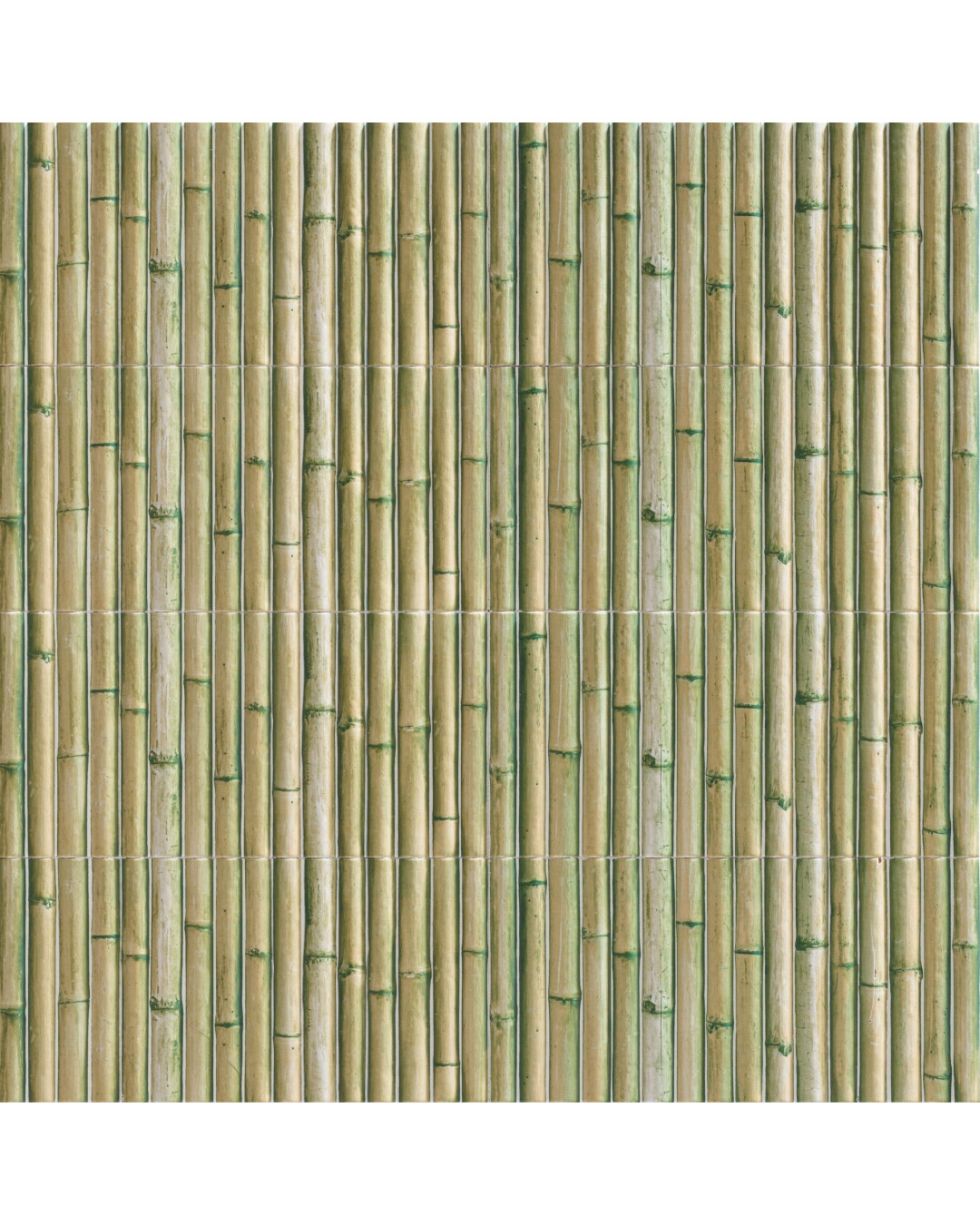Echantillon Gratuit Série Bamboo Green 15x30