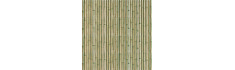 Echantillon Gratuit Série Bamboo Green 15x30