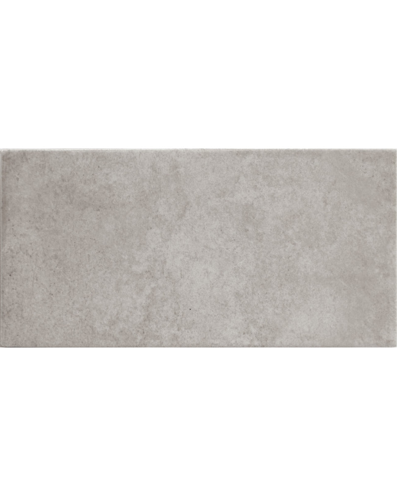 Echantillon Gratuit Série Camden grey 10x20