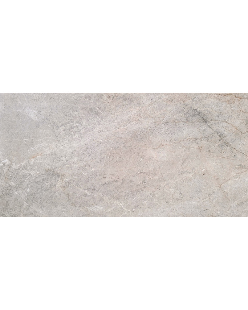 Échantillon Gratuit Série Toledo Gris 60x120