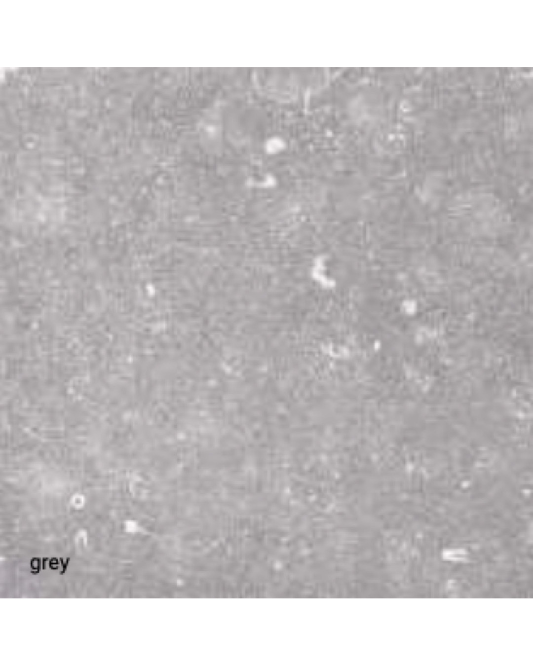 Lot de 25,85 m² de Carrelage 20mm Citadel Grey 75x75